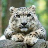 Central Park Zoo