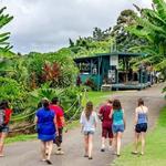 Coffee Plantations