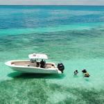 Mosquito Bank Sandbar