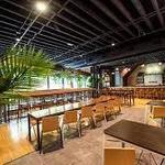 Young Blood Beer Company