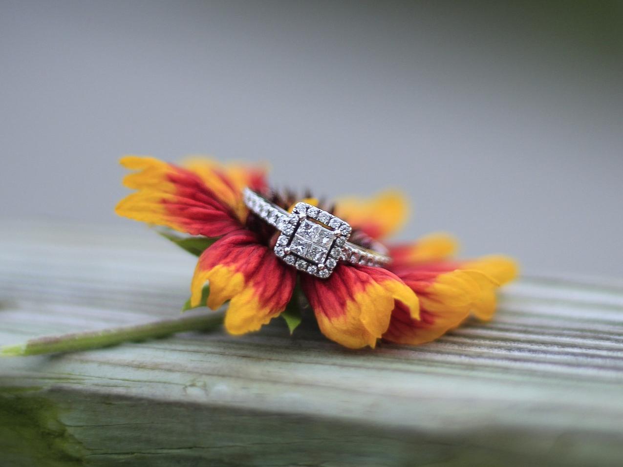 The Wedding Website of Brailey Ellis and Tyquan Black