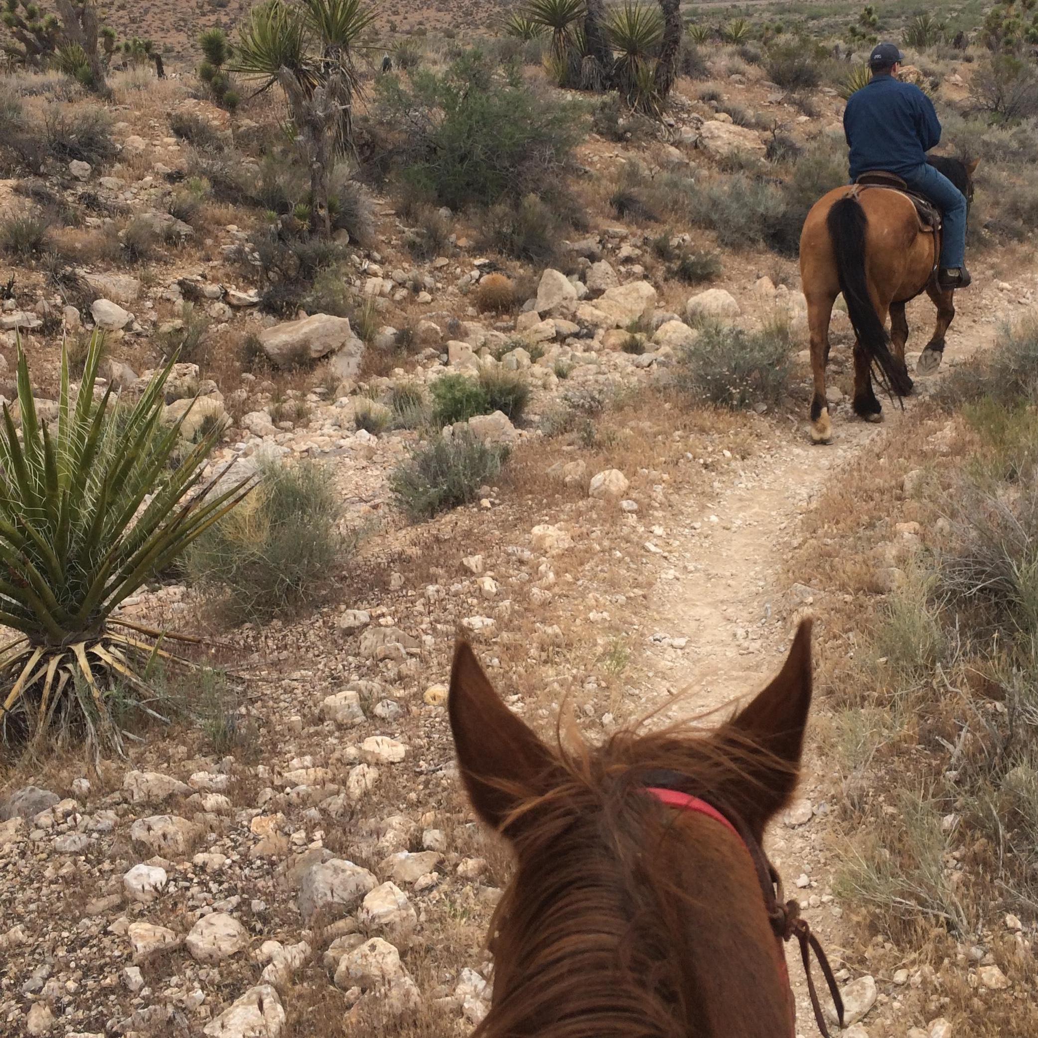 Horseback riding in Las Vegas - Spring 2016