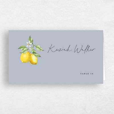 Cloud Gray, Grey Wedding Place Card - Praga