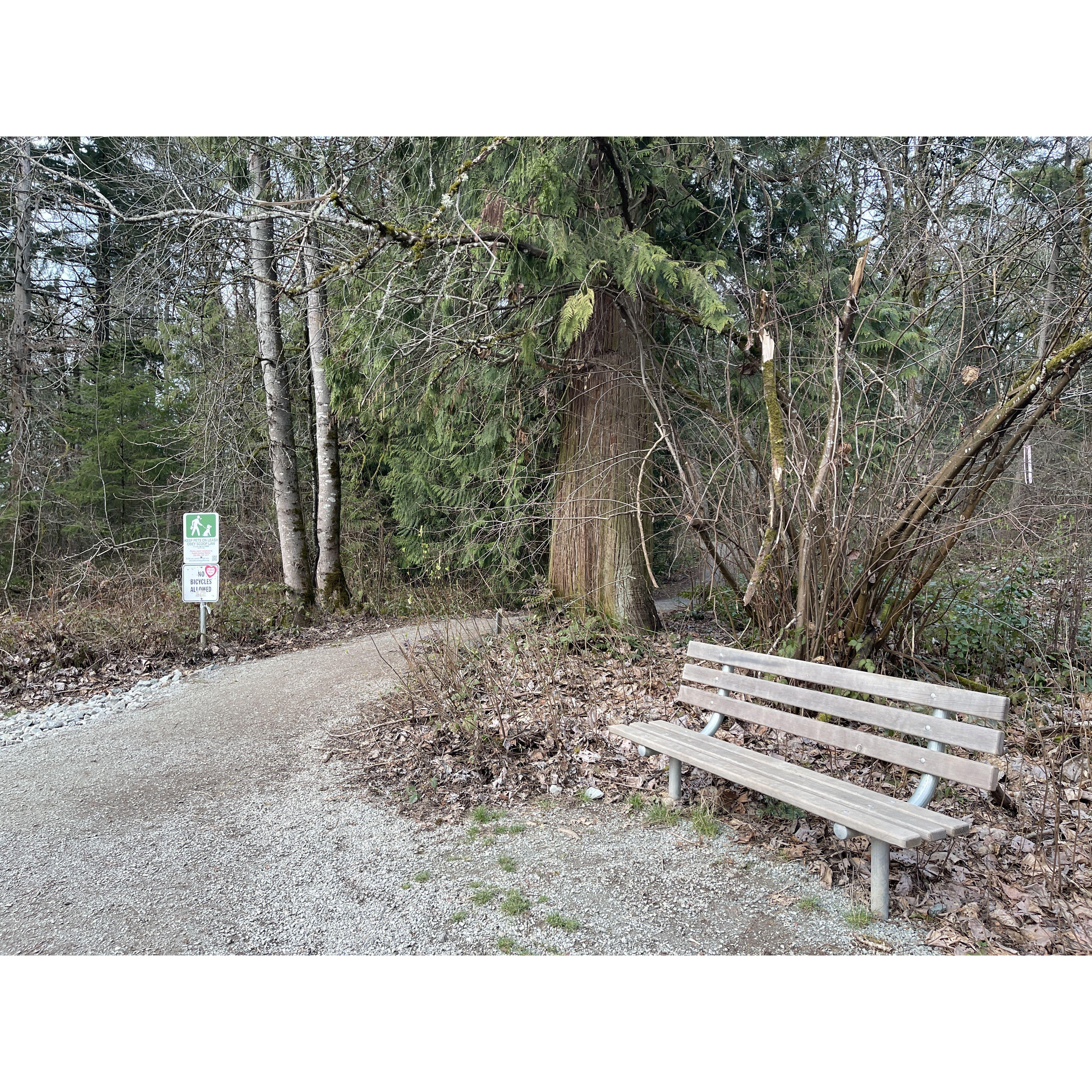 This bench is where our photographer "hid" in plain sight to take pics of our proposal.