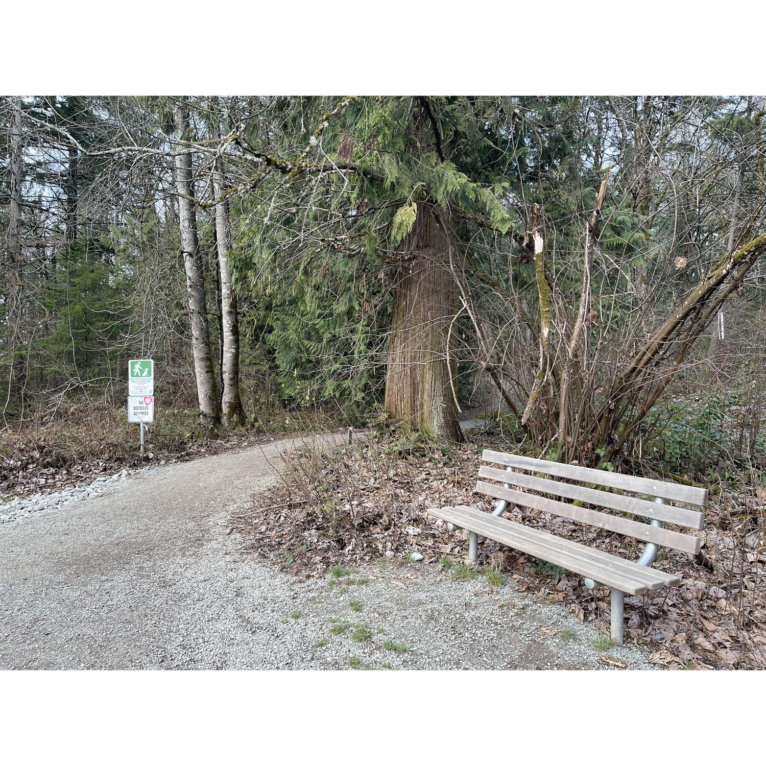 This bench is where our photographer "hid" in plain sight to take pics of our proposal.