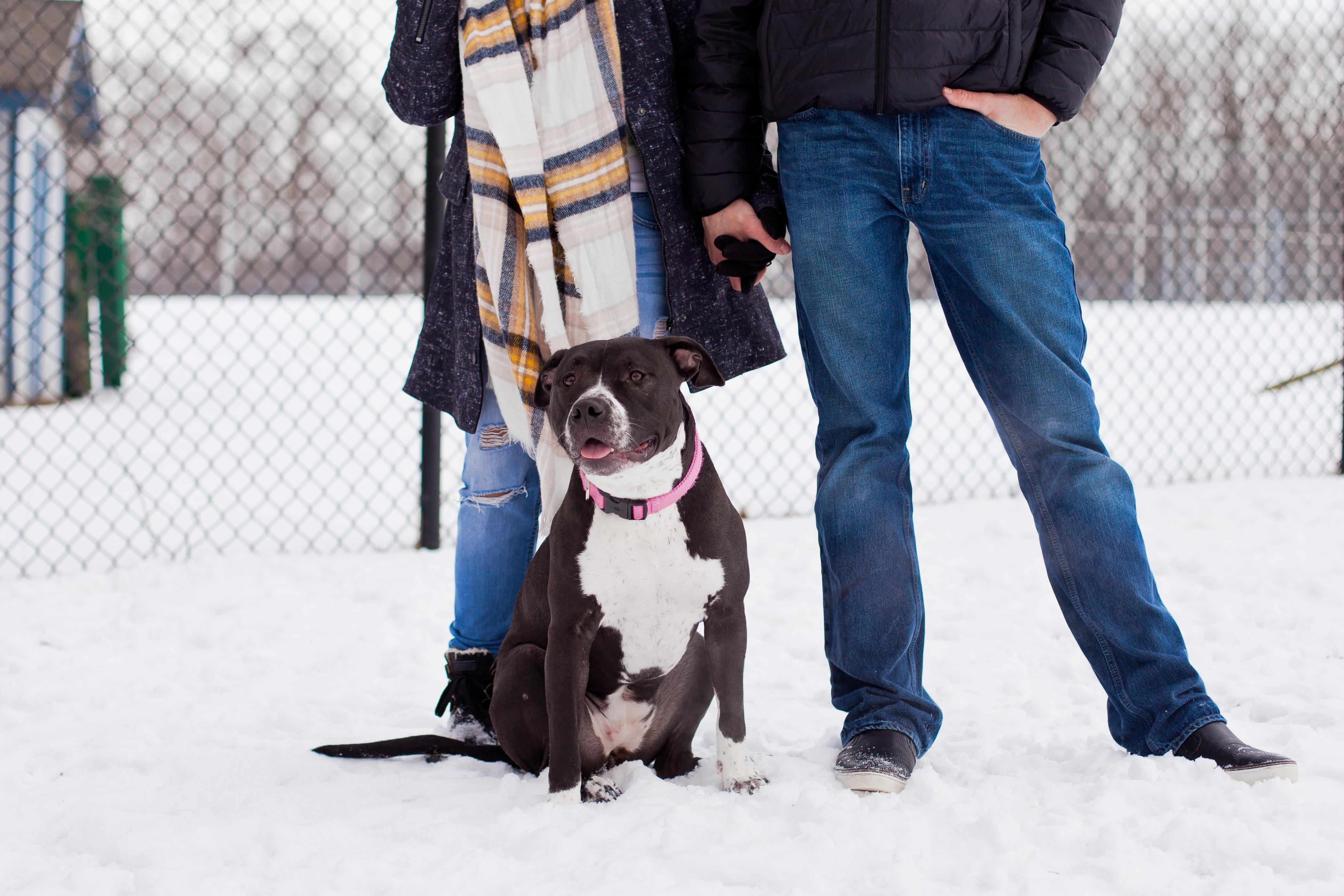 The Wedding Website of Jamille Alyssa Banaag and Shawn VanderZand