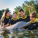 Discovery Cove