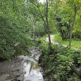 Azalea Fitness Trail