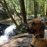 Salt Springs State Park
