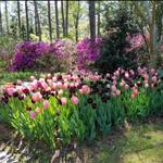 Botanical Gardens