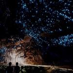 Waitomo (Glow Worm) Caves - 1 day