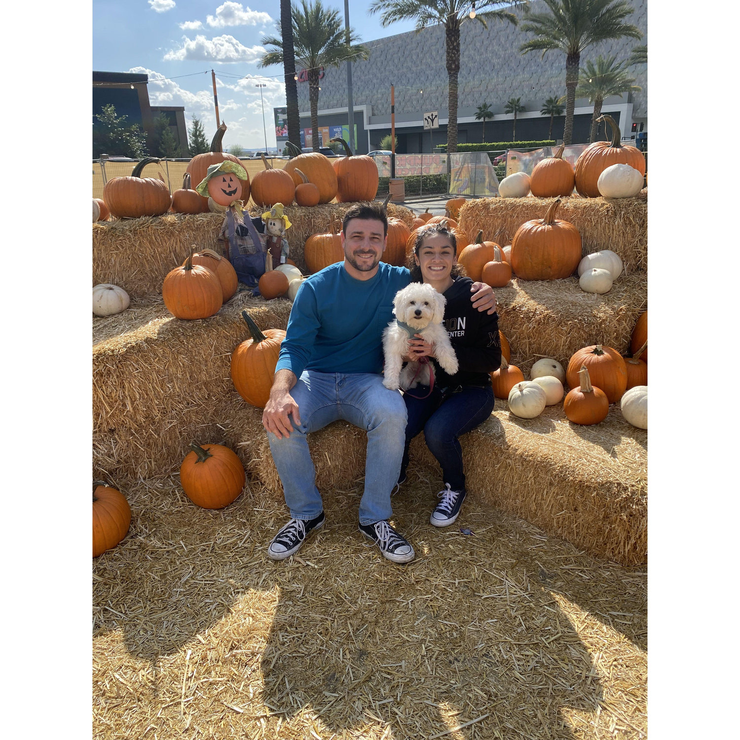 First fur baby Halloween. Family photo with Olive.