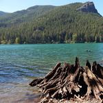 Rattlesnake Lake