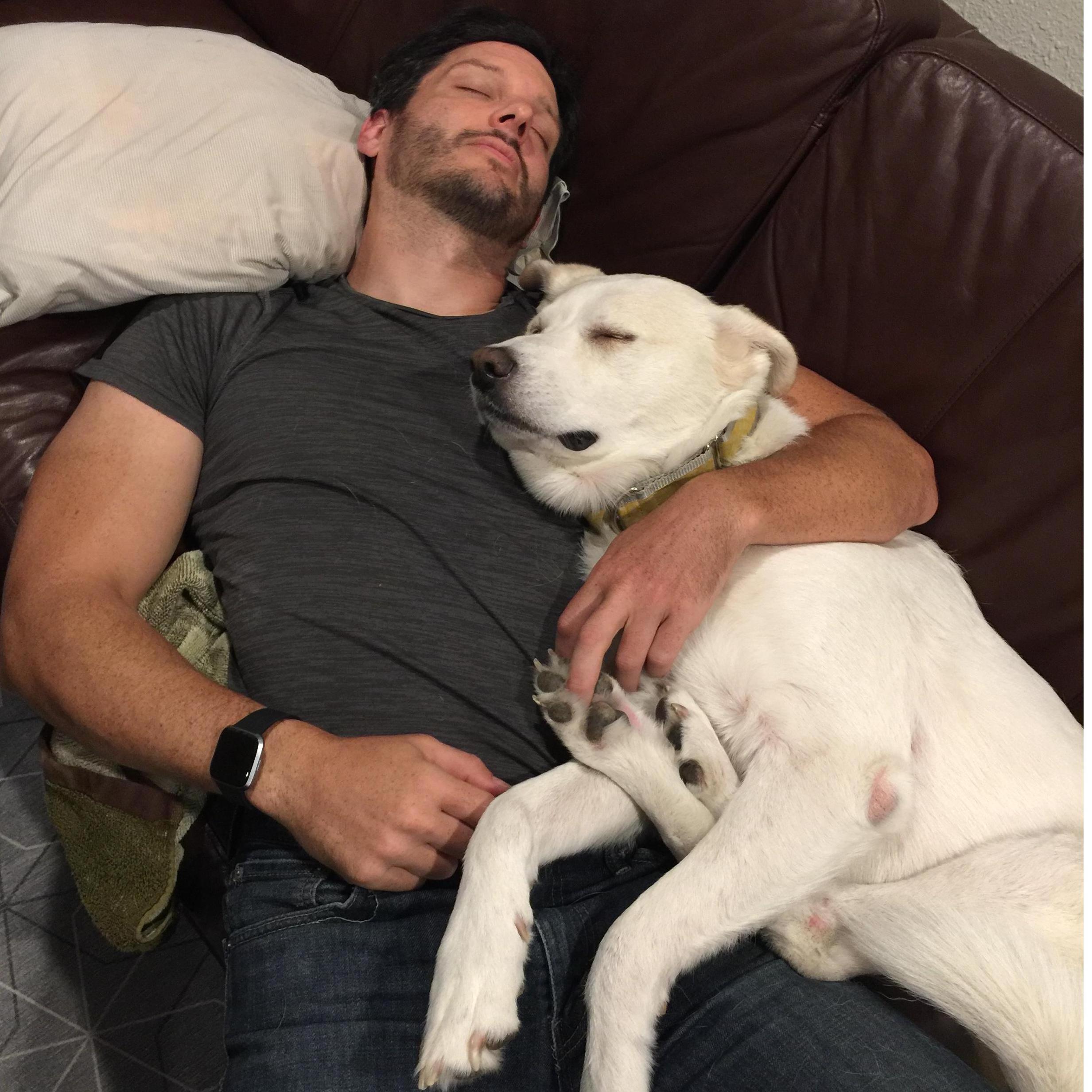 Tanner falls in love with Katie's dog, Daisy, and forever becomes a push over
