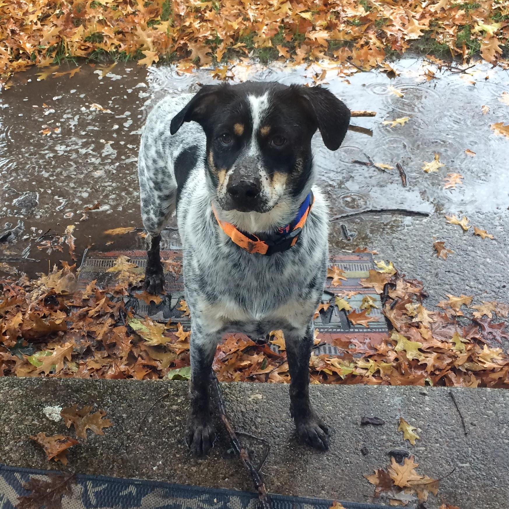 This was 20 minutes after a bath.