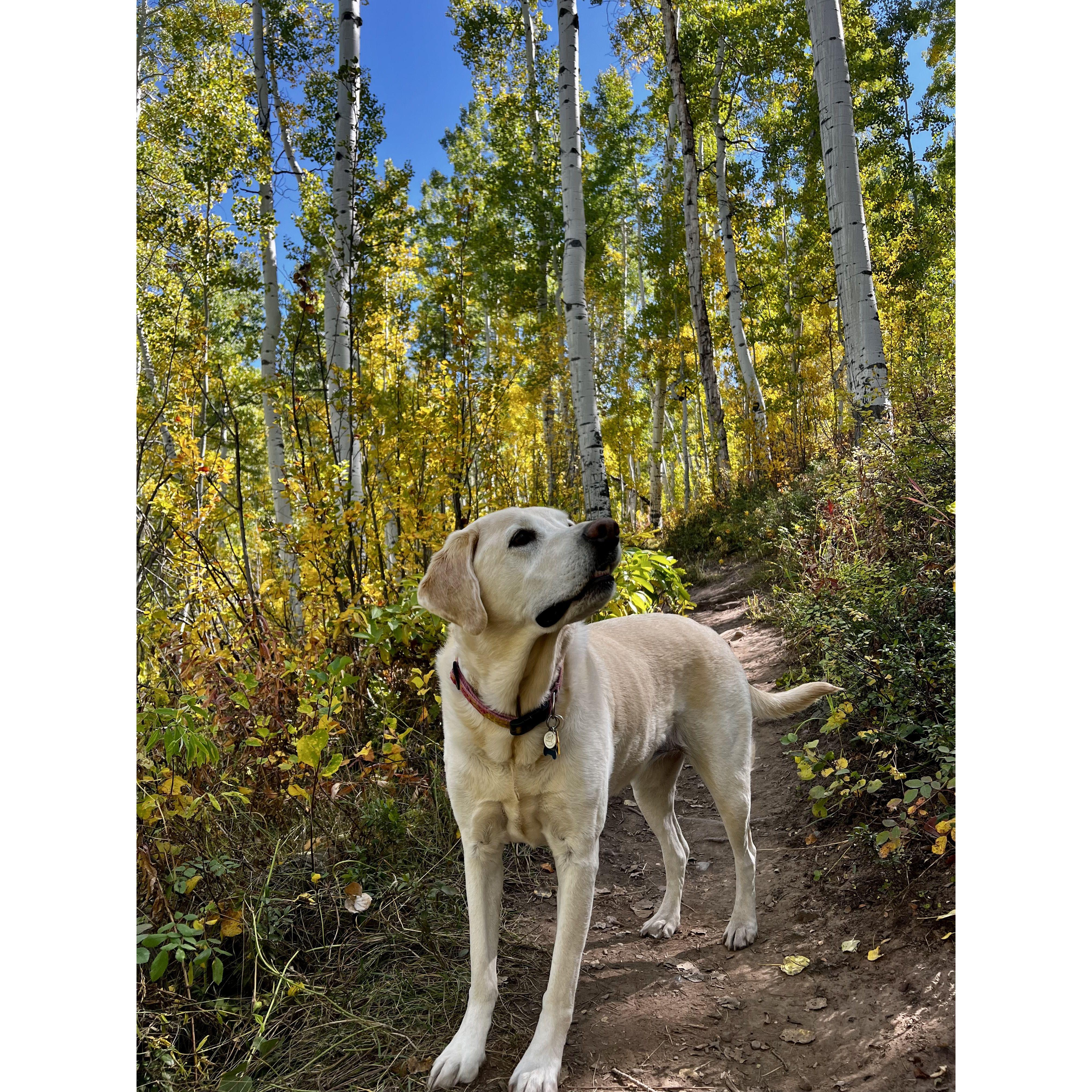 Cooper Girl