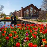 Missouri Botanical Garden