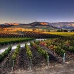 Santa Ynez Valley Wine Trail