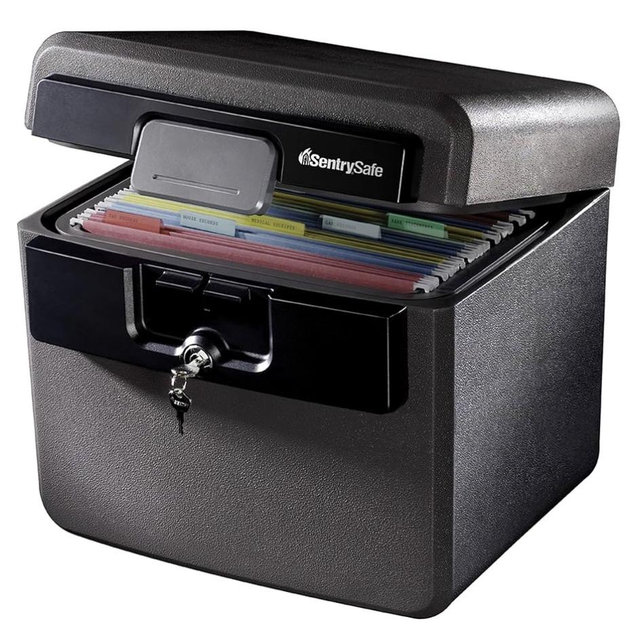 SentrySafe Fireproof and Waterproof Safe