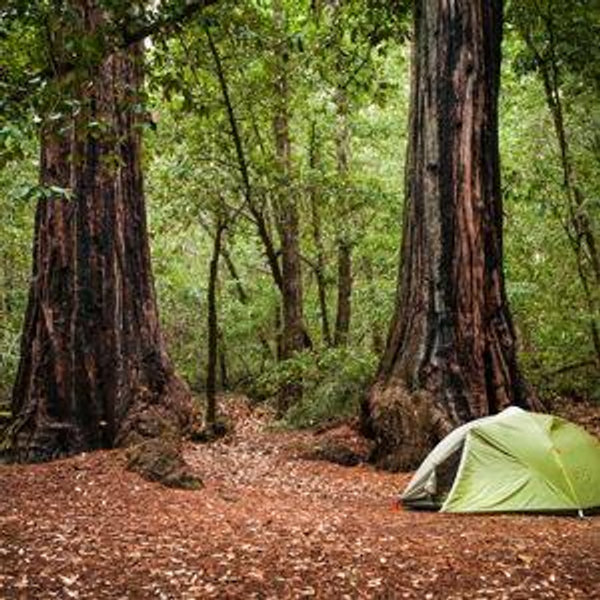 Future Adventure Fund