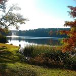 Tyler State Park
