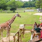 Cape May County Park & Zoo