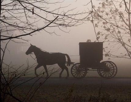 The Wedding Website of to haunt.. and To have
