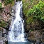 El Yunque National Forest