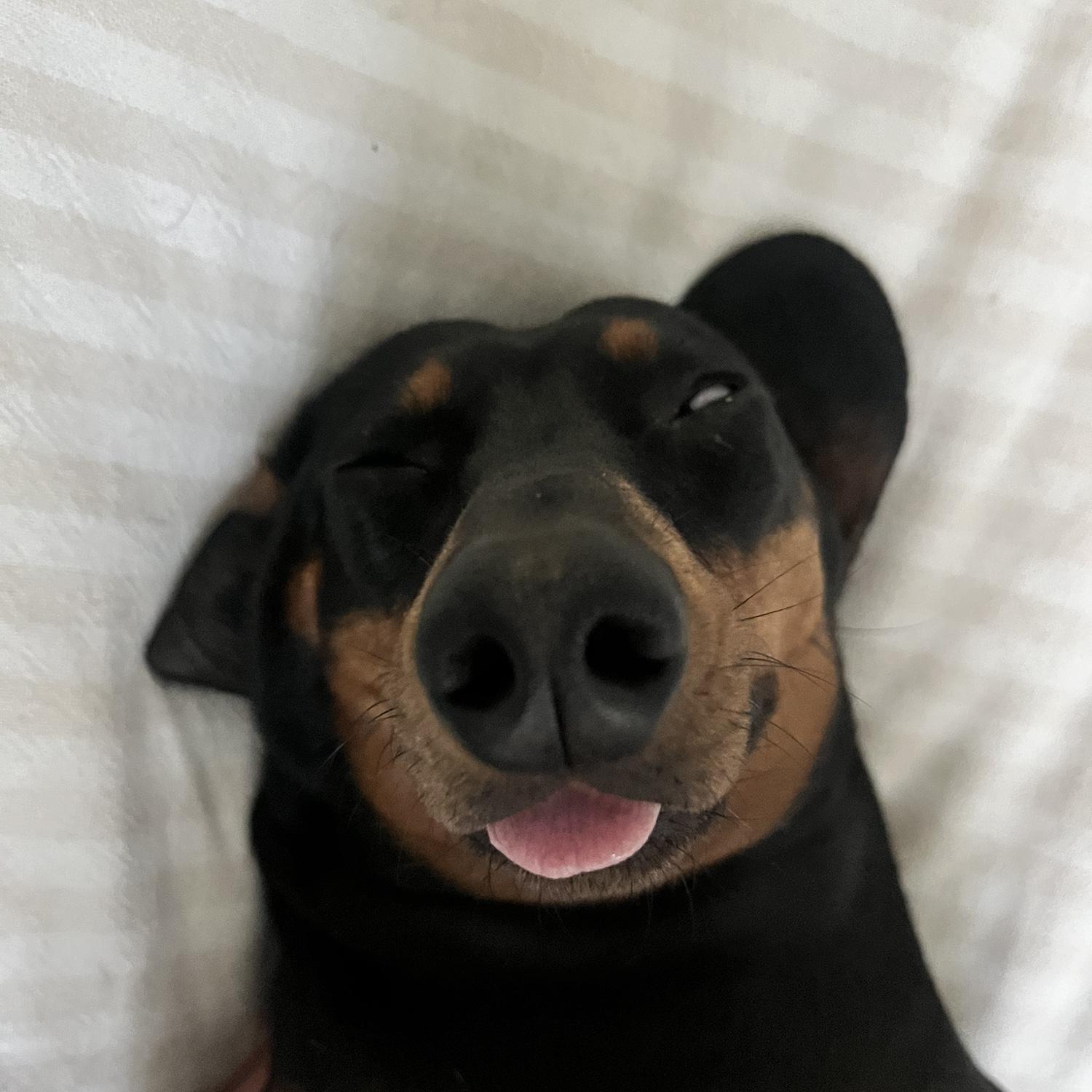 Our very first poor financial decision. We're kidding we love her to death.