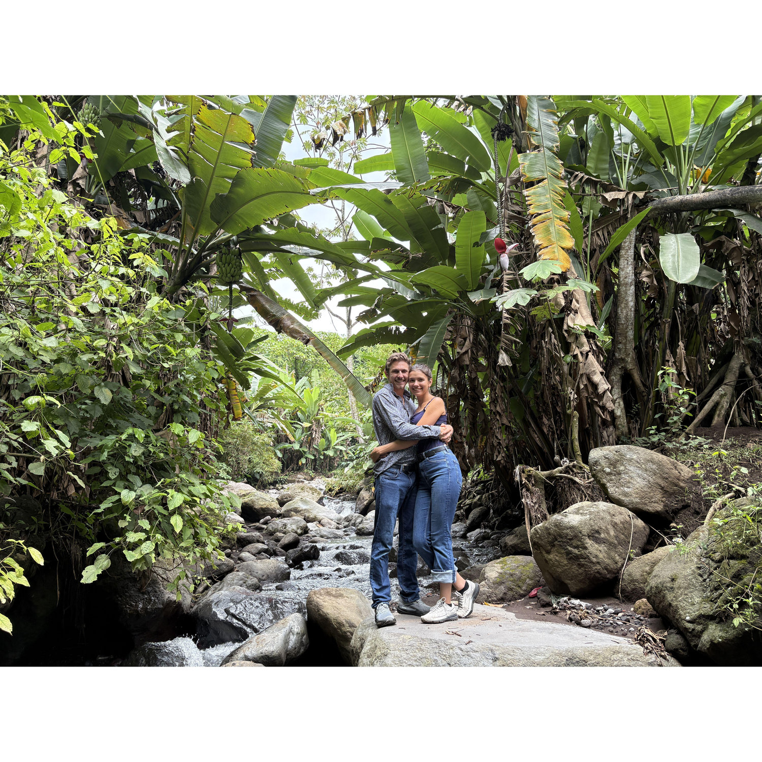 Enjoying the rainforest together