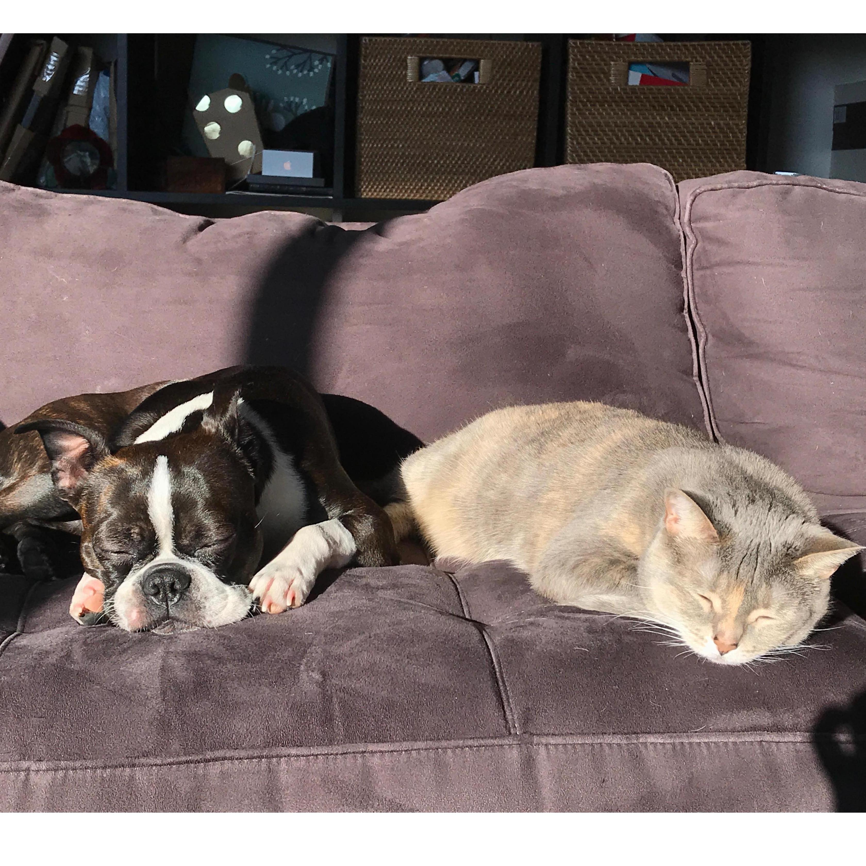 Piper and Gigi, doing what they do best