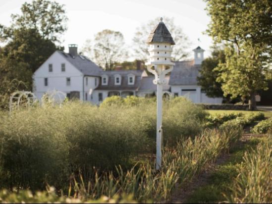 The Wedding Website of Katherine Walsh and Matthew Dews