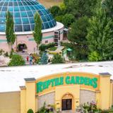 Reptile Gardens