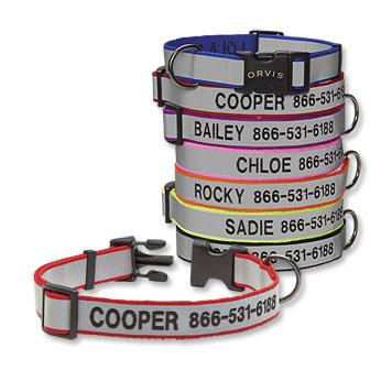 Reflective Collar