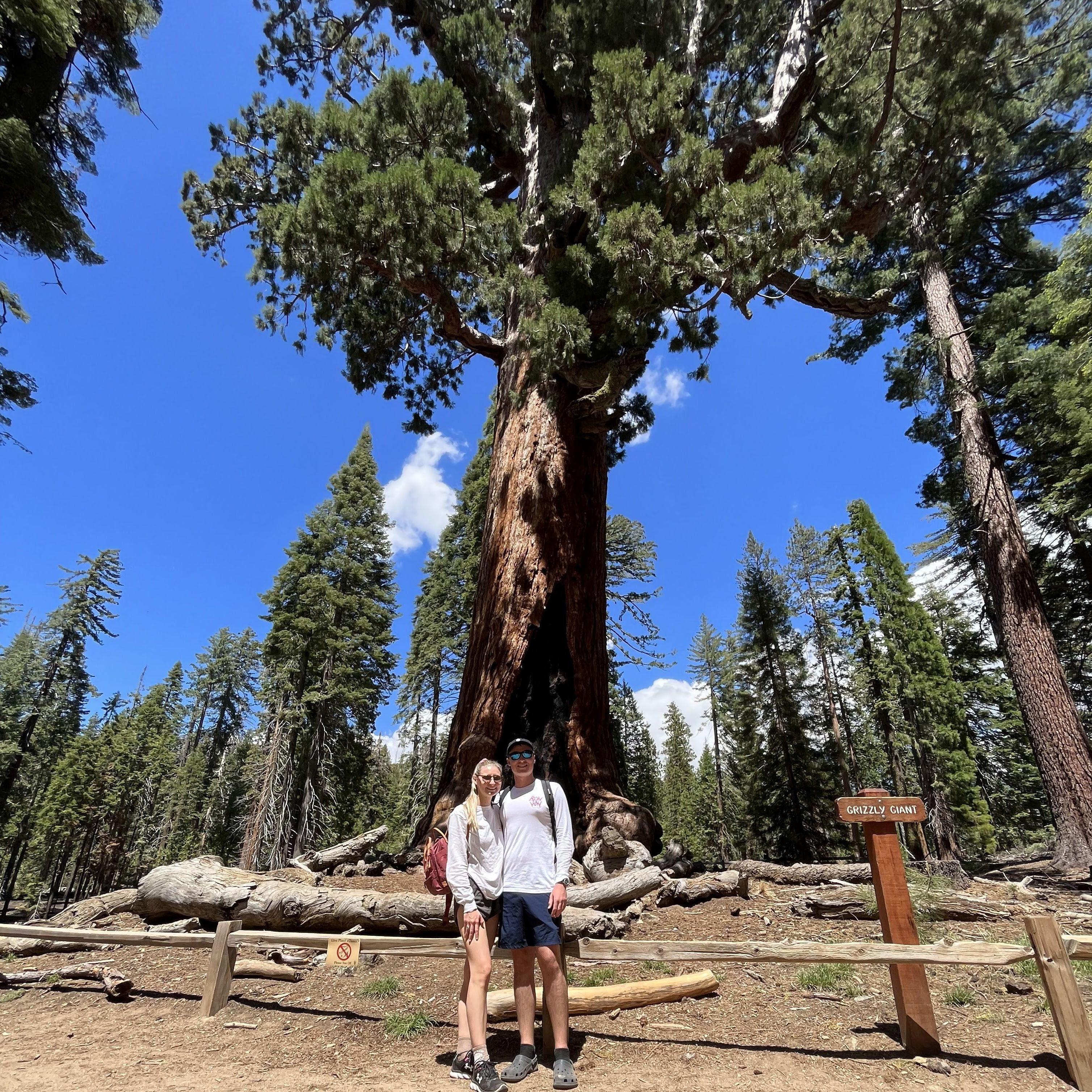 Our Second Yosemite Trip!