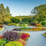 Minnesota Arboretum