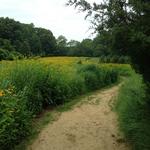 Avalon Nature Preserve