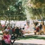 Queen Creek Olive Mill