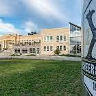 Ivywild School