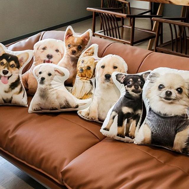 Custom Pet Pillow