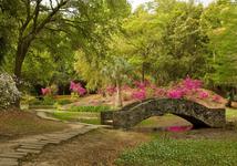 Avery Island