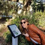 Far but Fantastic + Historical Activity - Wormsloe Historic Site