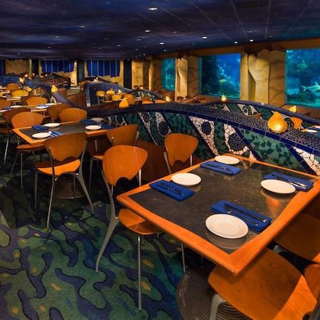 Coral Reef Disney Dinner Reservation