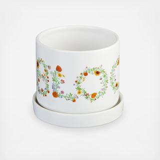 Bloom 2-Piece Cache Pot Set