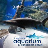 Long Island Aquarium
