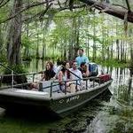 Swamp and Bayou Tours