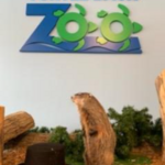 Essex County Turtle Back Zoo