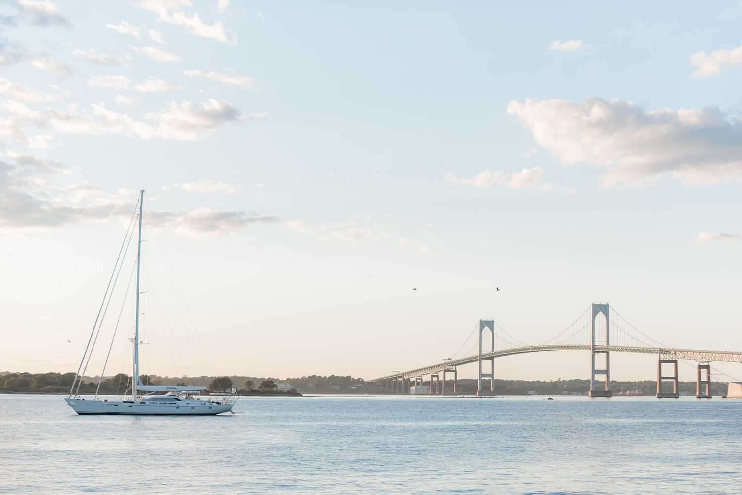 The Wedding Website of Courtney Canterbury and Kyle Delfini