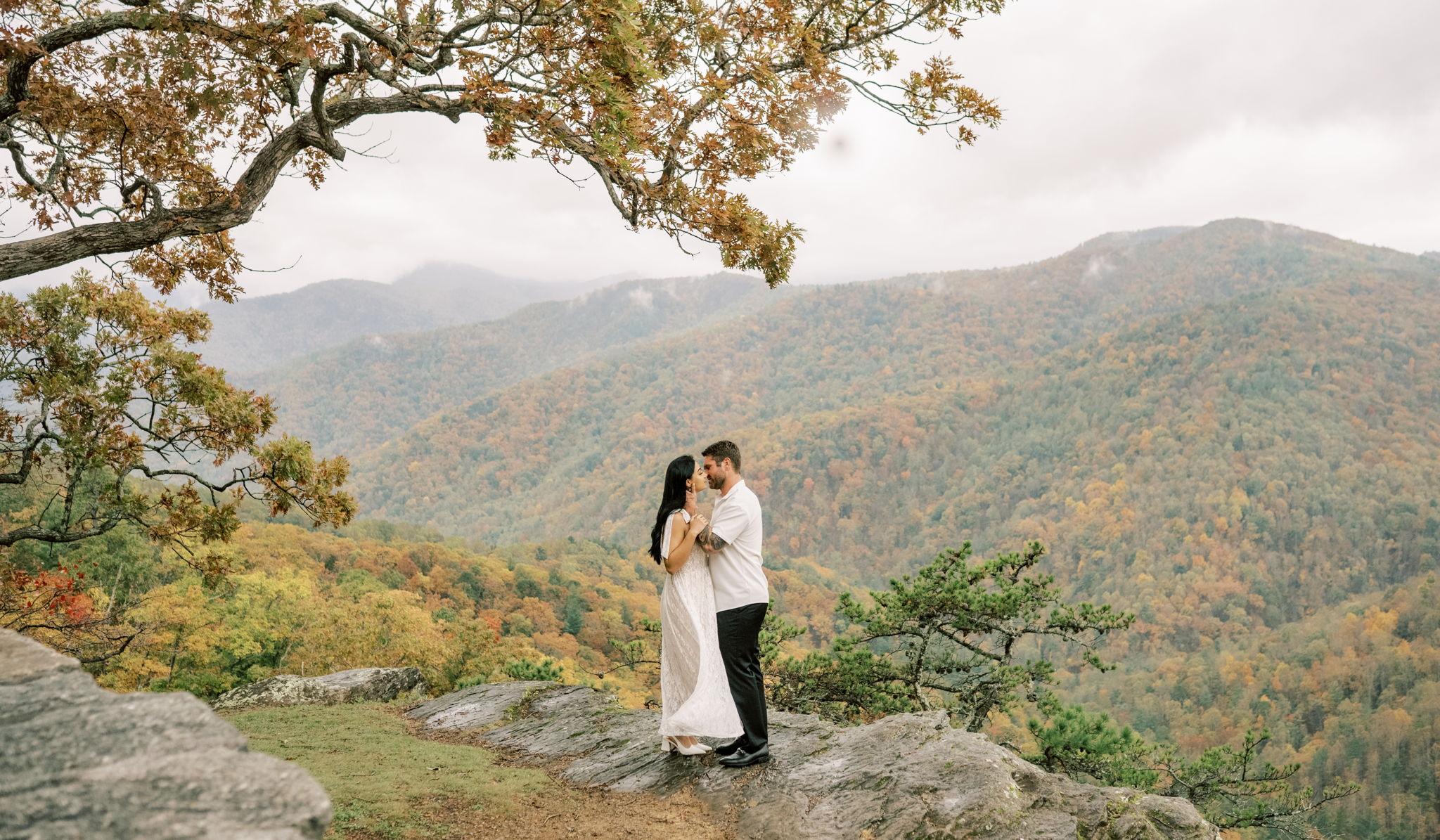 Hero Slideshow Image 0