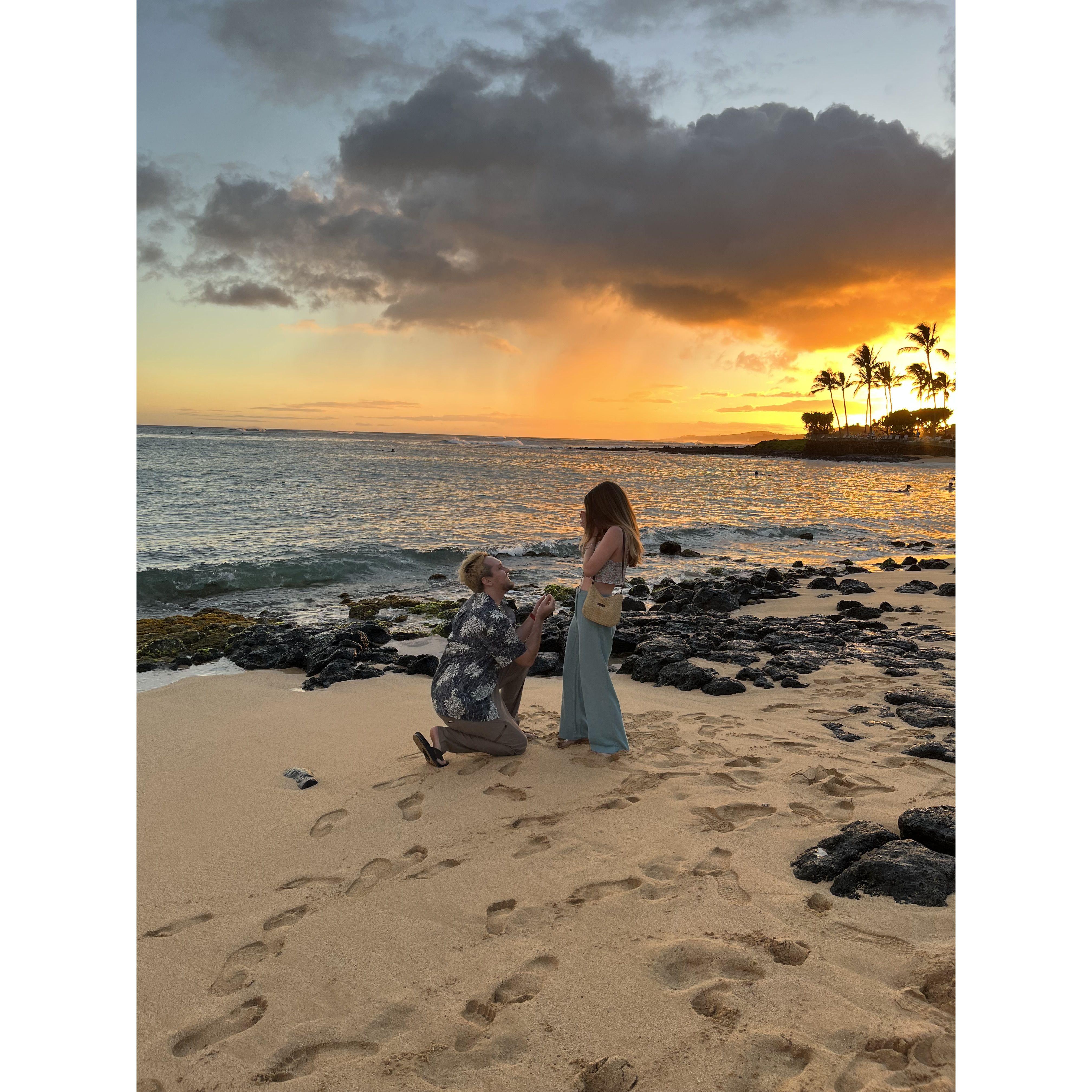 June 2023: Cole proposed to Marlise in Hawaii!